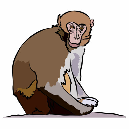 monkey picture, It's so beautiful.のイラスト素材