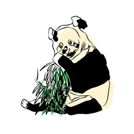panda picture, It's so beautiful.のイラスト素材