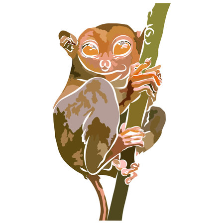 tarsier picture, It's so beautiful.のイラスト素材
