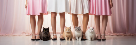 Cats sitting at the beautiful feet of girls. AI generation.の素材