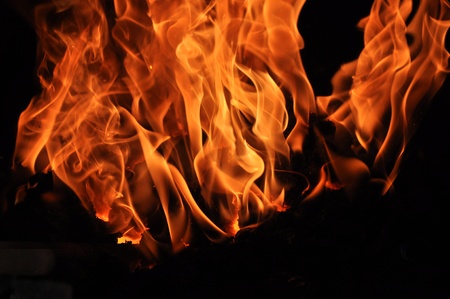 Flames of a fire