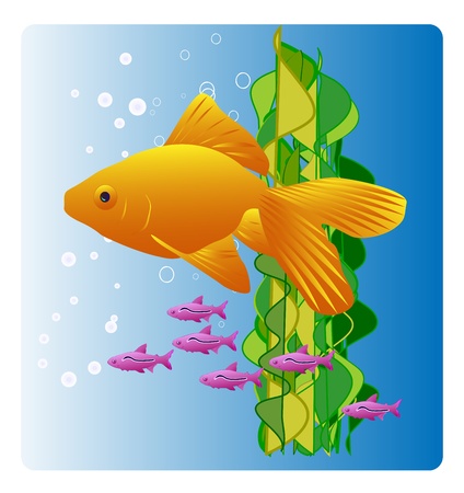 Sunny orange goldfish swimming in blue water with bubbles and seaweed. Bright and colorful vector illustration.のイラスト素材