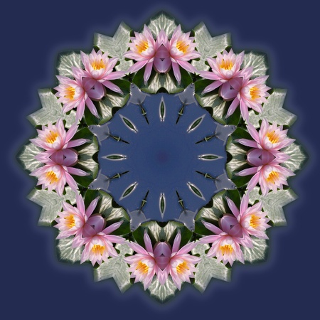 A fragile pink lily floating on a pond becomes a bright and delicate kaleidoscope patternの写真素材