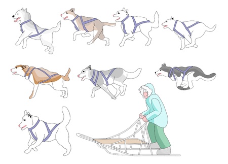 Musher and sled dogs mix n match full page のイラスト素材