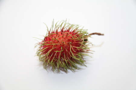 Rambutanの写真素材