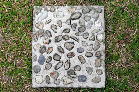 Walking panel on the grass  の写真素材