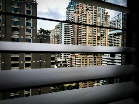 Look through the blinds verticalの写真素材