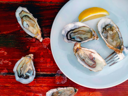 Fresh oysters with lemon on a plate on a red wooden backgroundの写真素材