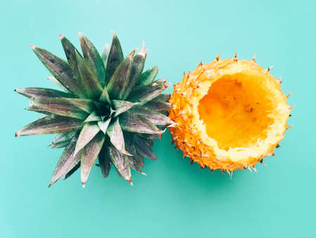 Pineappleの写真素材