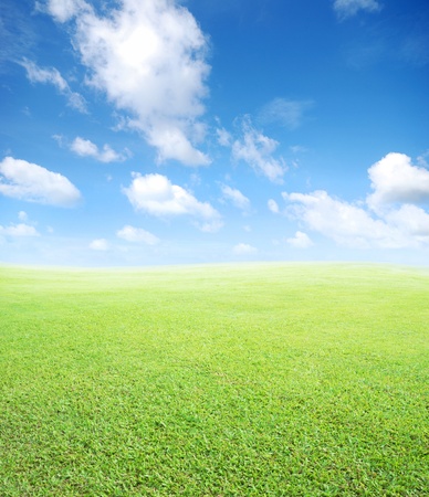 green field and blue sky の写真素材