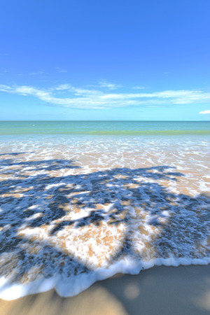 Wave of the sea on the sand beach sun daylight with tree shadowの写真素材