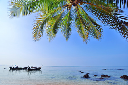 Coconut palms tree on sand beach in tropical island , with longtail boatの写真素材