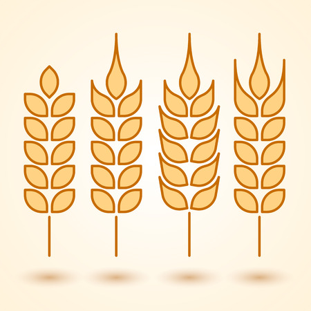 wheat ear icon set,vector illustrationのイラスト素材