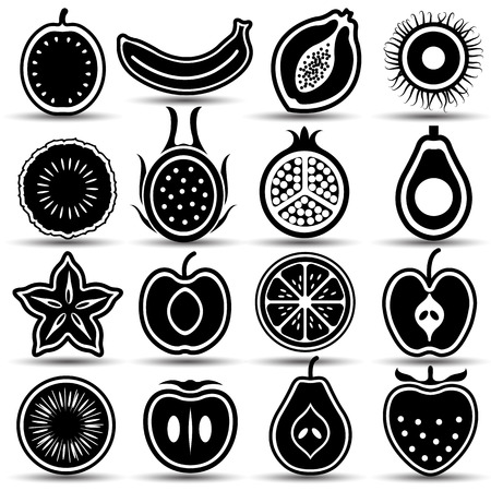 Collection of Fruits set hand drawn vector,illustrationのイラスト素材