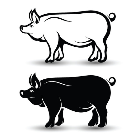 image of pig silhouette and drawing design on white backgroundのイラスト素材