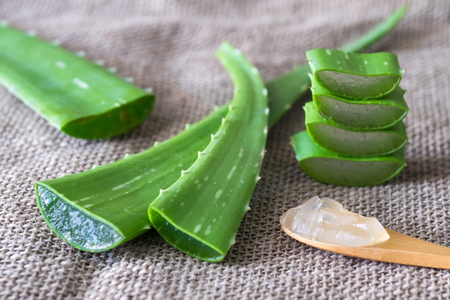 Aloe vera gel on wooden spoon with aloe vera on sackcloth textureの写真素材