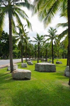 Rock decoration in the city parkの写真素材