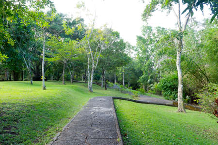 Garden in Balinese style の写真素材