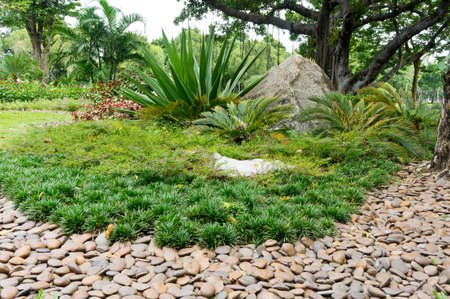 Green Garden viewsの写真素材