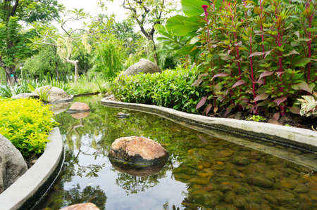 Green Garden and stream viewsの写真素材