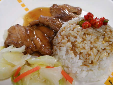 Chicken teriyaki with gravy and chilliの素材