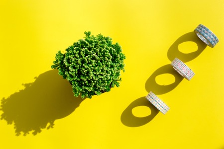 colorful home office desk with plants and sticky tape on yellow background top viewの写真素材