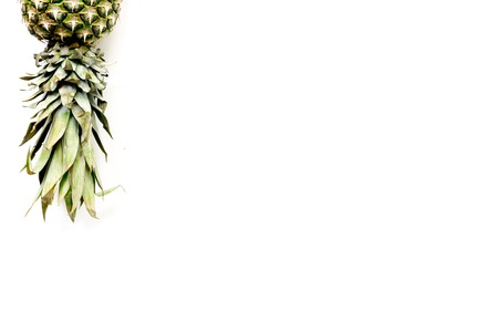 Pineapple on white background top view copyspace