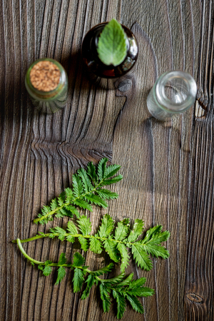 Alternative medicine. Store up medicinal herbs. Herbs in glass on wooden table background.の写真素材