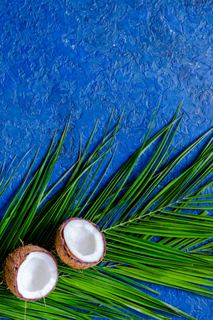 Appetizing cocount on blue table background top viewの写真素材