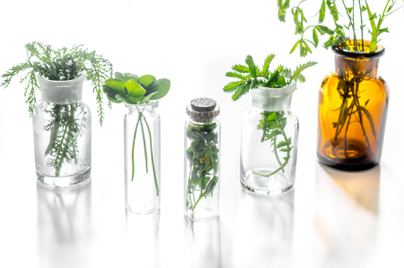 Homeopathy. Medicinal herbs in glass on white background.