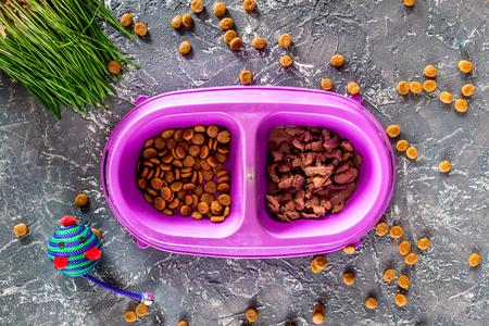 Cat feed in bowl, mouse toy and grass on grey stone background top view.の写真素材
