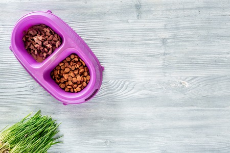 Animal food in bowl on wooden background top view.の写真素材