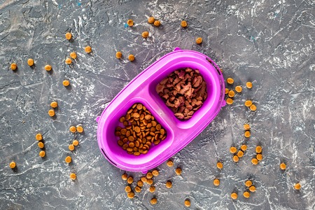 Animal food in bowl on grey stone background top view.の写真素材