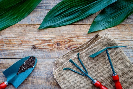 Working in garden. Gardening tools on wooden background top view copyspaceの写真素材