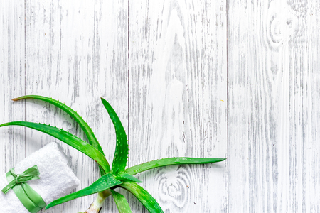 Fresh aloe vera leafs on wooden background top view.の写真素材