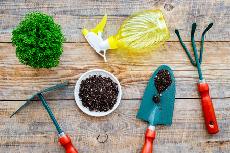 Working in garden. Gardening tools on wooden background top view.の写真素材