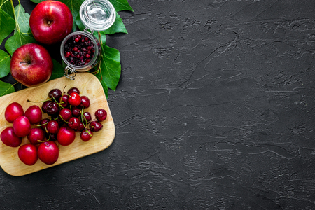 Apple, pulm and cranberry for summer ice drink on black table top view copyspace.の写真素材
