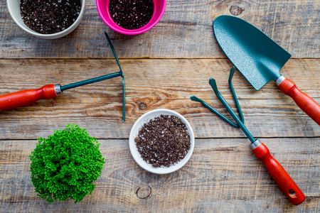 To plant flowers. Gardening tools and pots with soil on wooden background top view.の写真素材