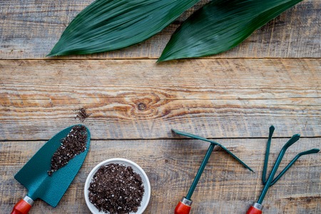 Planting flowers. Gardening tools and pots with soil on wooden background top view copyspaceの写真素材