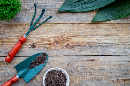 Planting flowers. Gardening tools and pots with soil on wooden background top view copyspace