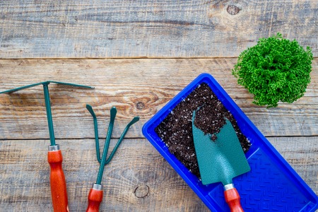 Working in garden. Gardening tools and pots with soil on wooden background top view copyspaceの写真素材