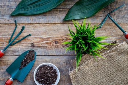 Planting flowers. Gardening tools and pots with soil on wooden background top view copyspace mockupの写真素材