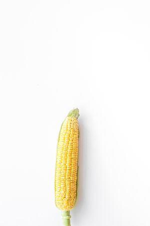Organic farm food. Corn on cobs on white background top view copyspaceの写真素材