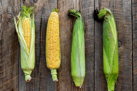Vegetarian food. Corn cobs on rustic wooden background top view.