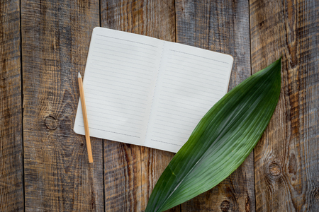 Feminine desk workspace. Notebook and leaf on wooden background top view mockupの写真素材