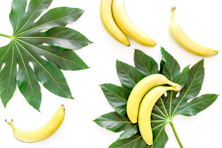 Tropical plants. Huge leaves and bananas on white background top view.の写真素材