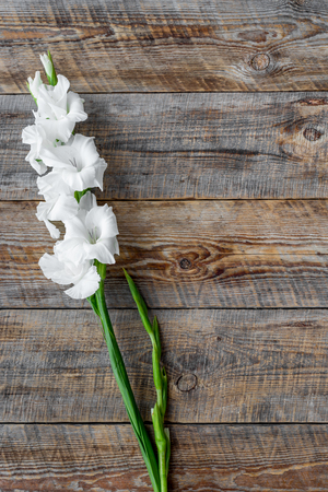 Feminine desk concept. Flower on rustic wooden background top view copyspaceの写真素材