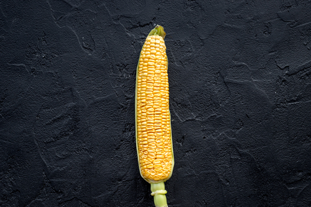 Ripe corn on cobs on black stone background top view copyspaceの写真素材