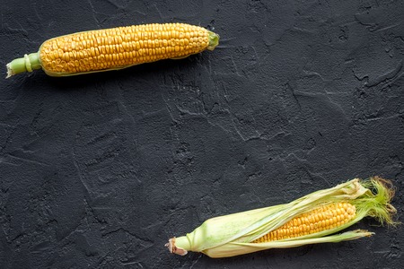 Ripe corn on cobs on black stone background top view.の写真素材