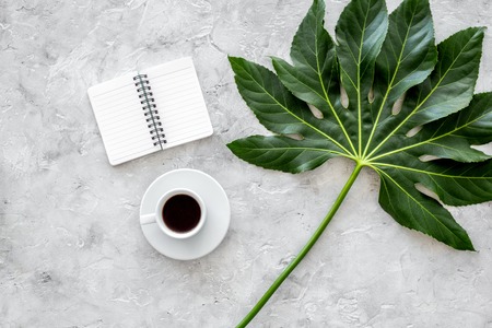 Cup of coffe near notebook and exotic palm leaf on light stone background top view.の写真素材